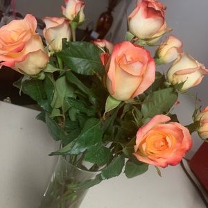 Meet your Posher, Karon